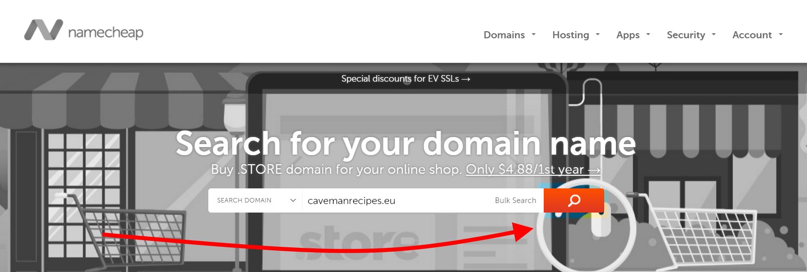 Search For Your Domain Name - Namecheap